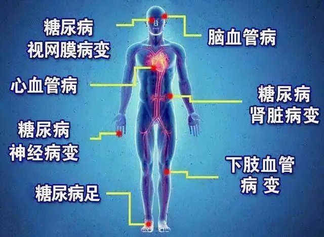 微信截图_20231207082541.png